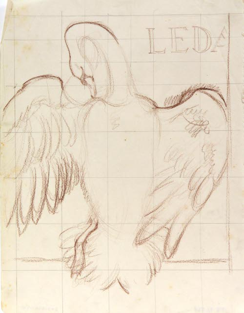 [Swan]