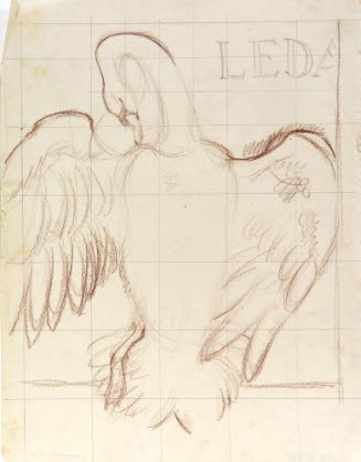[Swan]