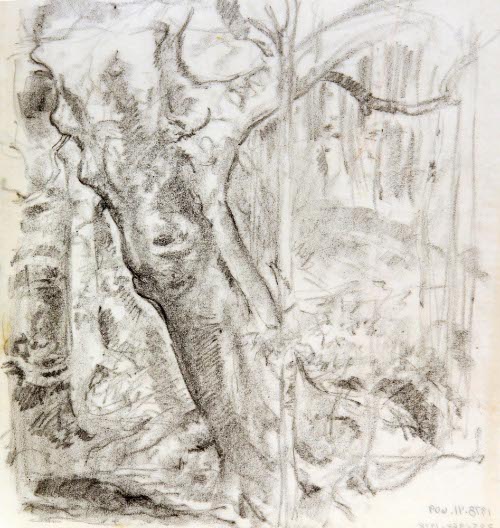 Trees