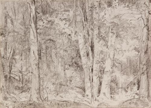 Woods