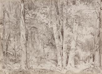Woods