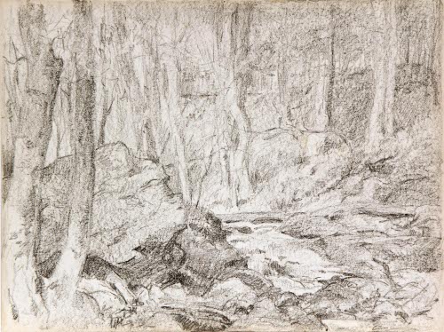 Wooded Landscape