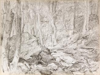 Wooded Landscape