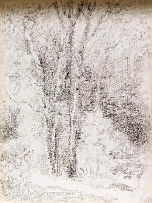 Three Trees