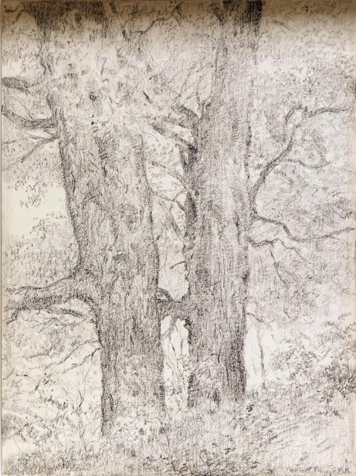 TWO TREES