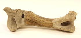 Arrowhead in animal bone