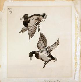 Ducks in Flight, for Nan
