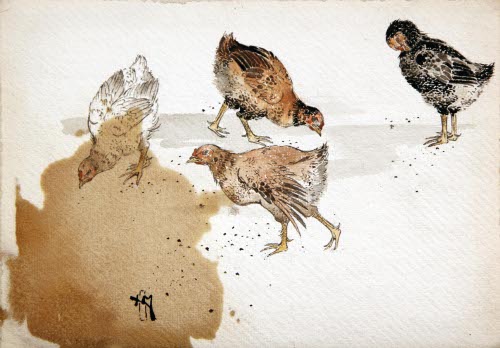 Roosters