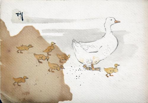 Duck & Chicks