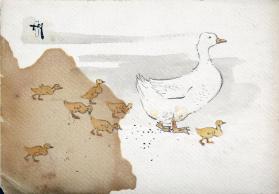 Duck & Chicks