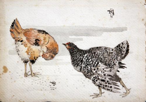 2 Roosters