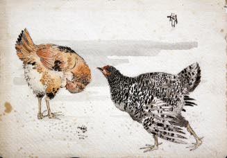 2 Roosters
