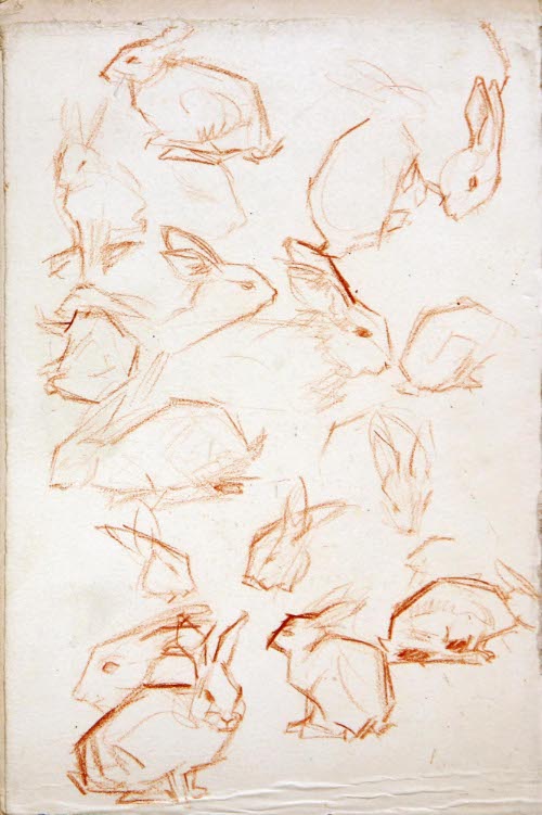 Rabbits