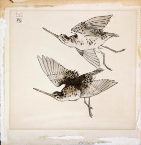 Birds in Flight, for Nan