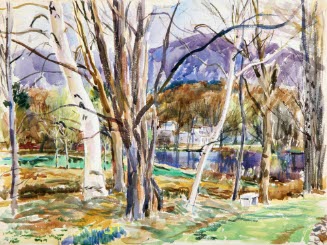 Trees