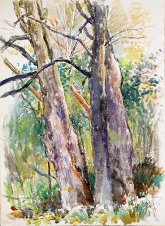Trees