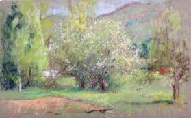 Flowering tree