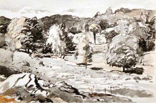 TREES