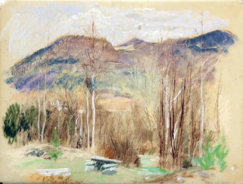 Landscape with Saplings