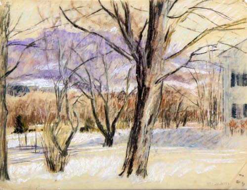 Trees in Snowy Yard with Edge of House