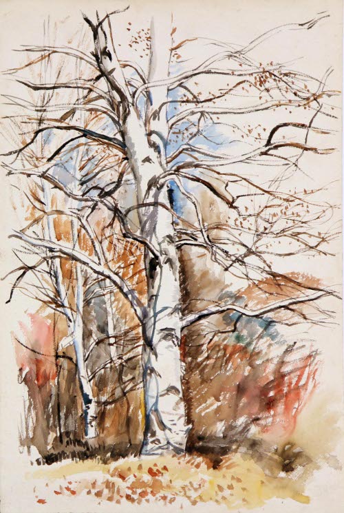 TREE