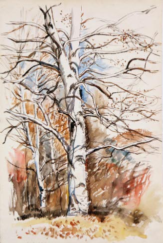 TREE