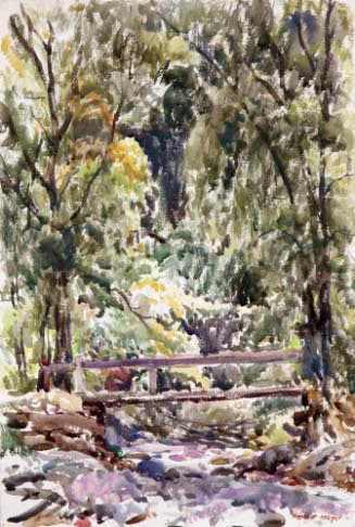 Bridge and Elms