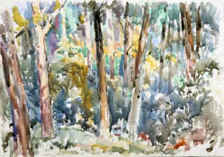 Trees with Sunlight