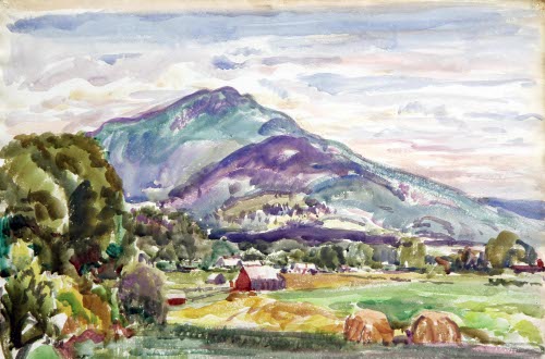 [Valley Landscape]