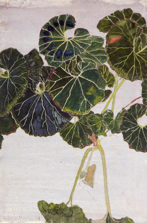 Leaves & Stems
