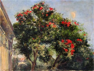 Tree in blossom