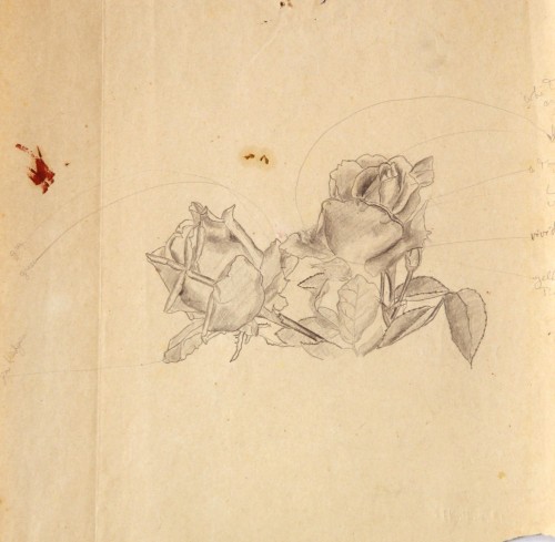 Two Roses