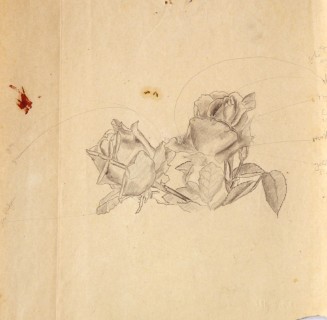 Two Roses
