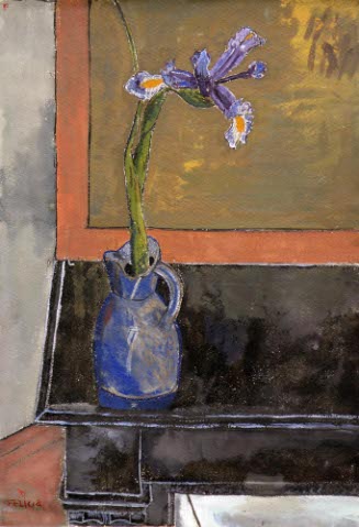 Iris in Pitcher