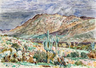 [Cacti]
