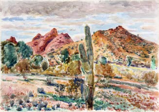 [Cactus]