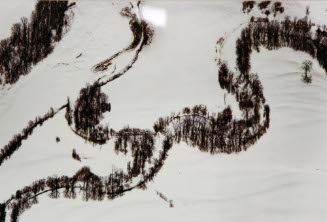 Frozen Stream with Dormant Tree and Shadow, Bethel, ME.