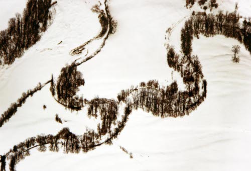 Frozen Stream with Dormant Tree & Shadows, Bethel, ME.