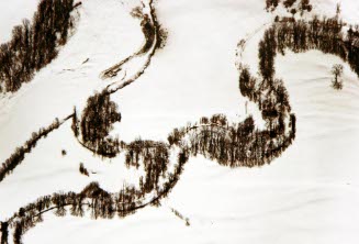 Frozen Stream with Dormant Tree & Shadows, Bethel, ME.