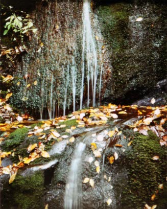 Running Water Roaring Fork Road, Great Smoky Mts.