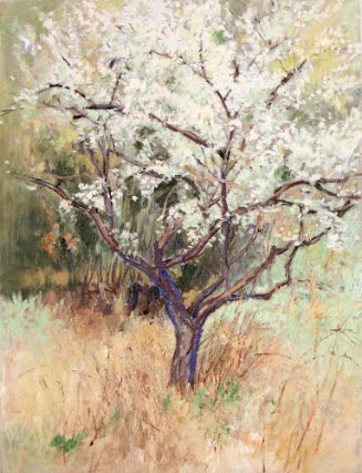 [Tree in bloom]