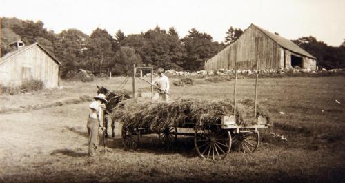 Carl Brown working a 160 acre farm in Southern Vermont