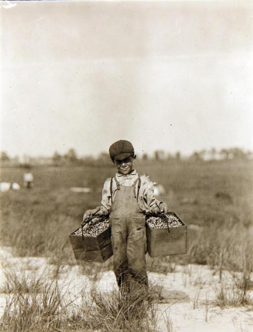 Boy with Cranberry Boxes