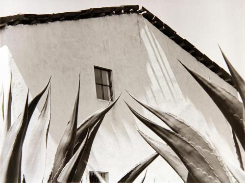 Ventana a los Magueyes (Window on the Maguey Cactus)