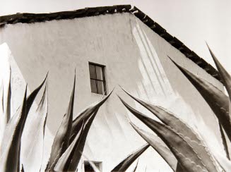 Ventana a los Magueyes (Window on the Maguey Cactus)