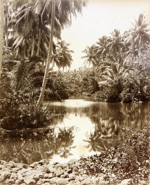 Samoan landscape