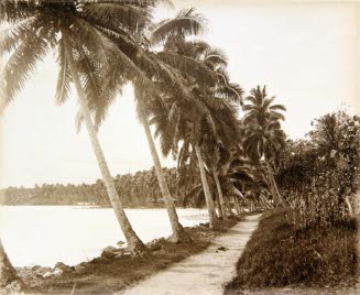 Shore Road, Samoa