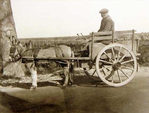 Donkey Cart