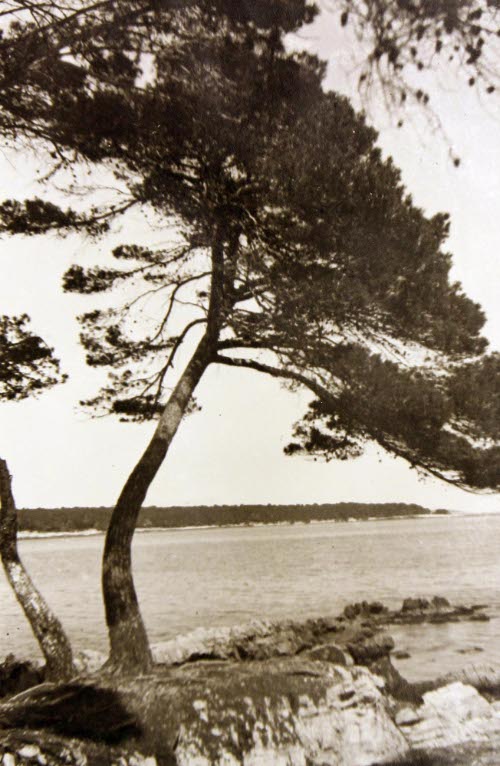 Isle de Larins, near Cannes