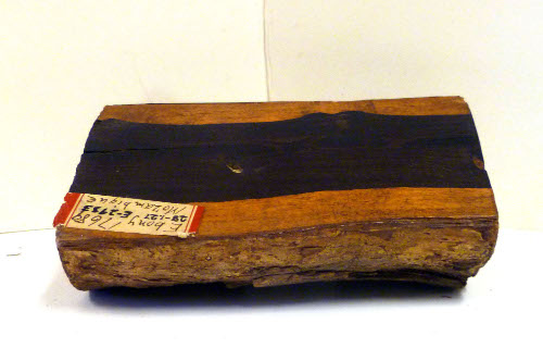 Piece of ebony wood